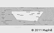 Gray Panoramic Map of Washington Parish