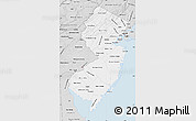 Silver Style Map of New Jersey