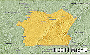 Savanna Style 3D Map of Fayette County