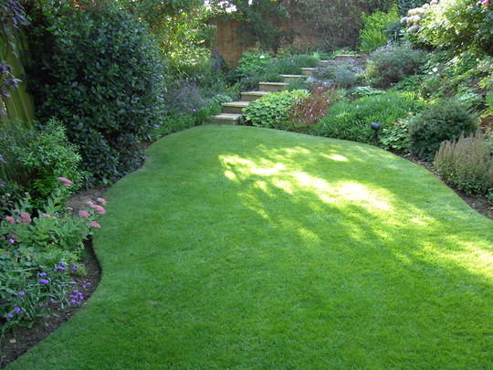 The bottom garden