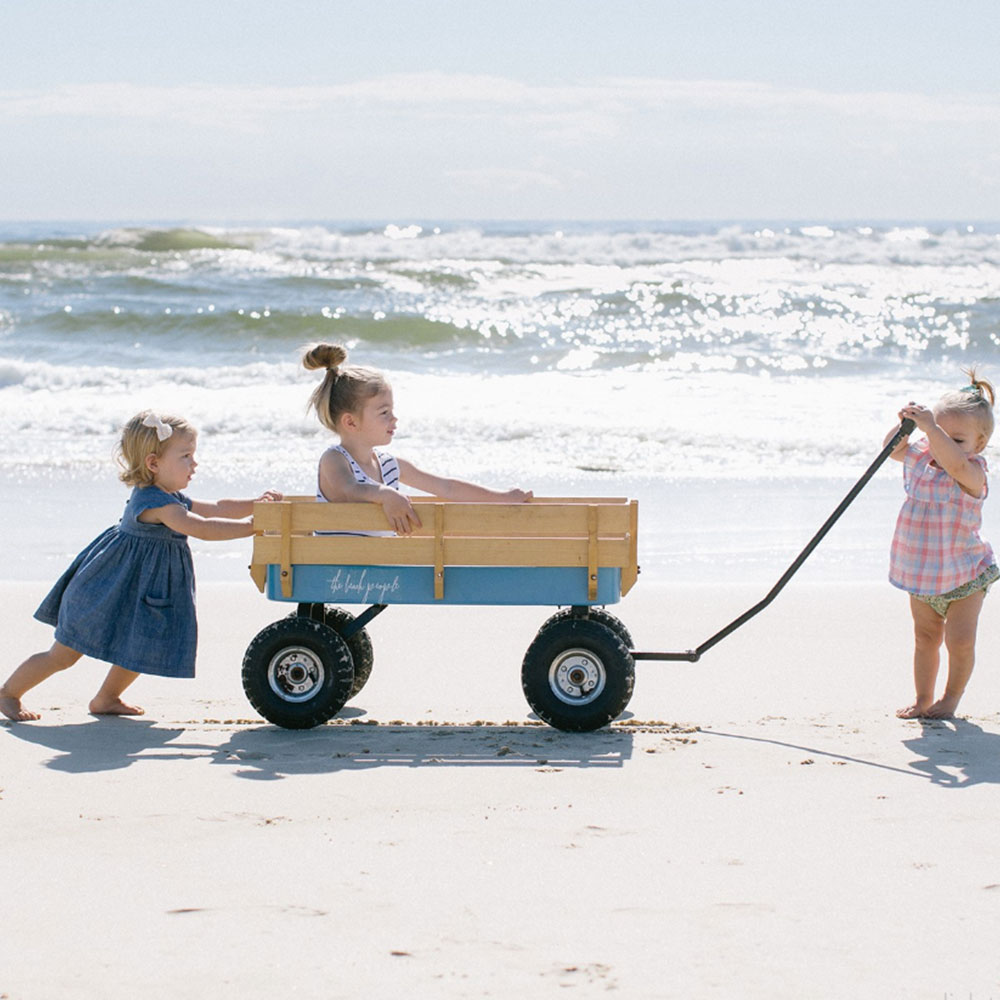 beach-cart-2