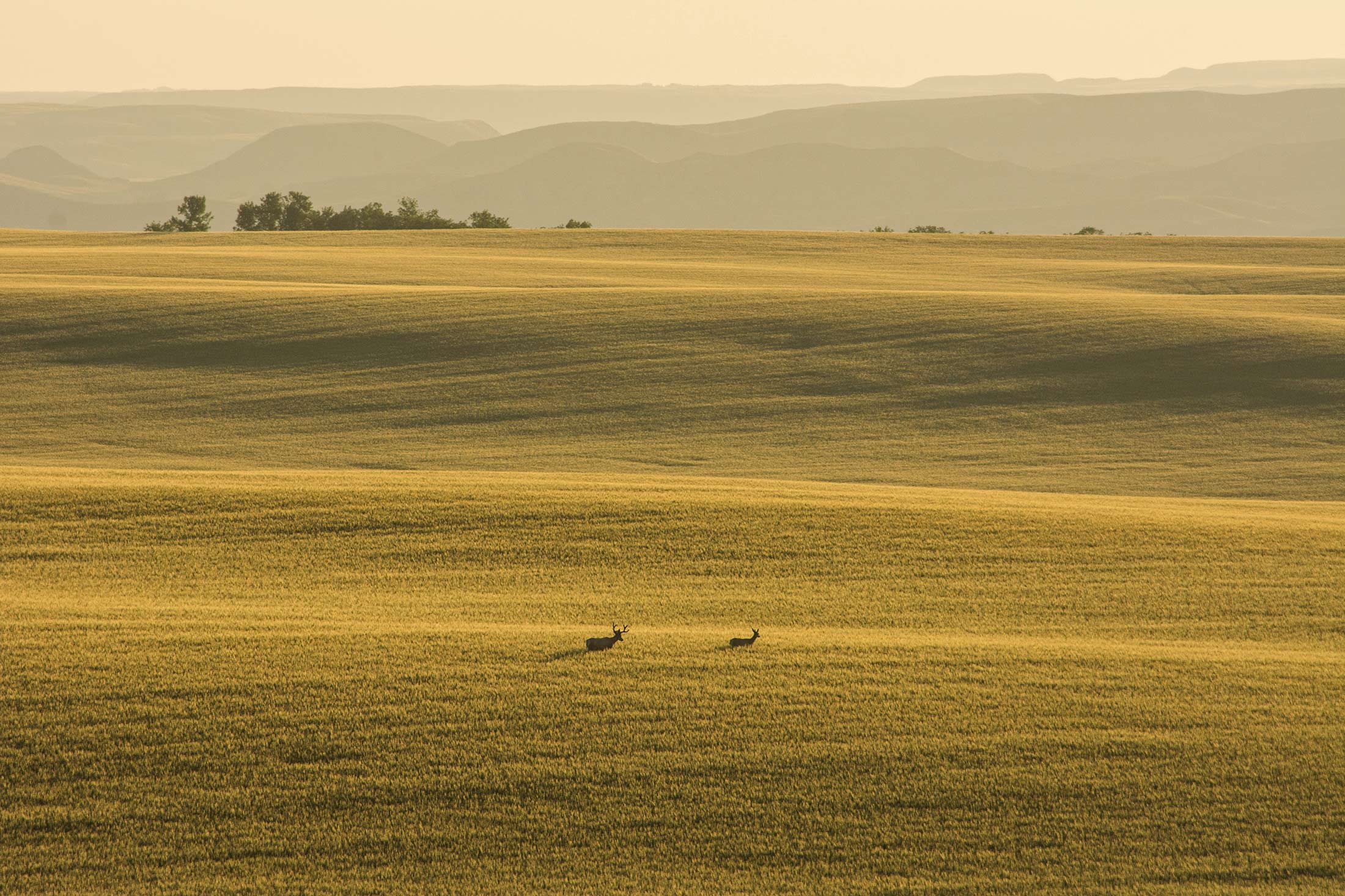 Montana’s Missouri River Country Travel Planner