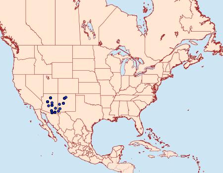 Distribution Data for Automeris cecrops