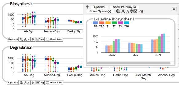 Dashboard Image