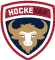 Hockeyak