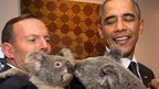 Australia's Prime Minister Tony Abbott (L) and US President Barack Obama each hold a koala at the G20 Leaders Summit in Brisbane, Australia on 15 Nov 2014