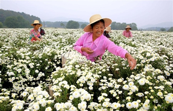 In pics: autumn harvest across China