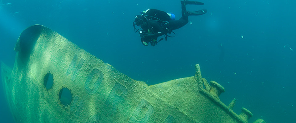 diver observing shipwreck