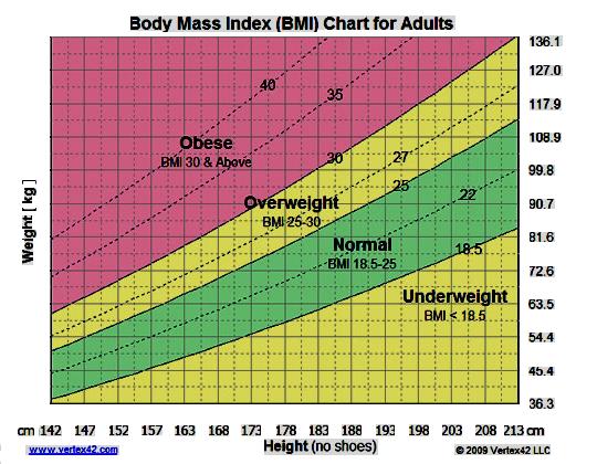 Adult Body Mass - Big Lady Sex image.