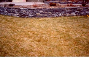 Raised Rundle Stone Flower Bed on lawn is level on top with sidewalk