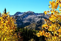 Fall In The Wasatch 