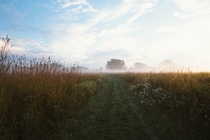 Foggy Morning in southern Wisconsin  x