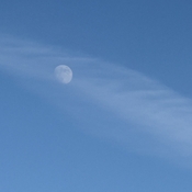 Daytime Moon