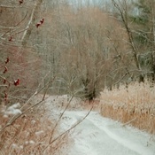 First November Snowfall