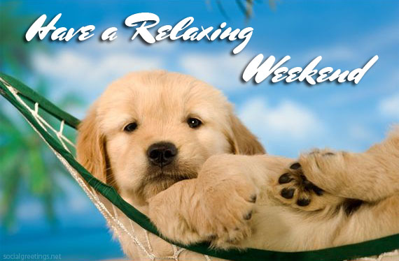 Have a relaxing Weekend -- Cute Puppy