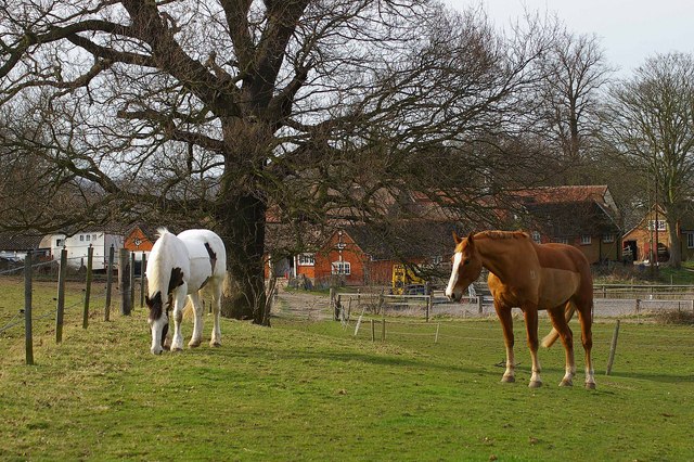 Boyles Court Farm