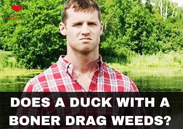 Best Letterkenny Quotes