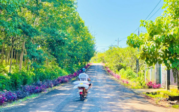 Đẩy nhanh tiến độ thực hiện các chương trình chuyên đề về xây dựng nông thôn mới