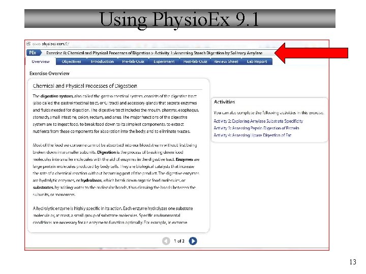 Using Physio. Ex 9. 1 13 