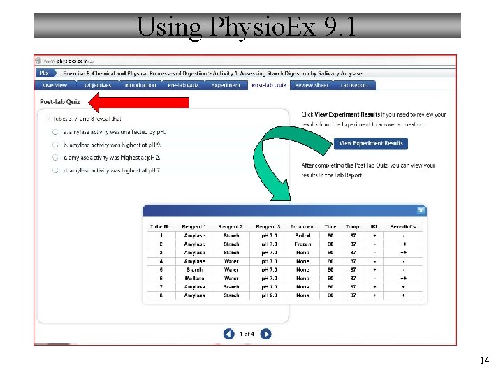 Using Physio. Ex 9. 1 14 