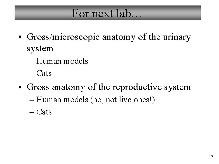 For next lab… • Gross/microscopic anatomy of the urinary system – Human models –