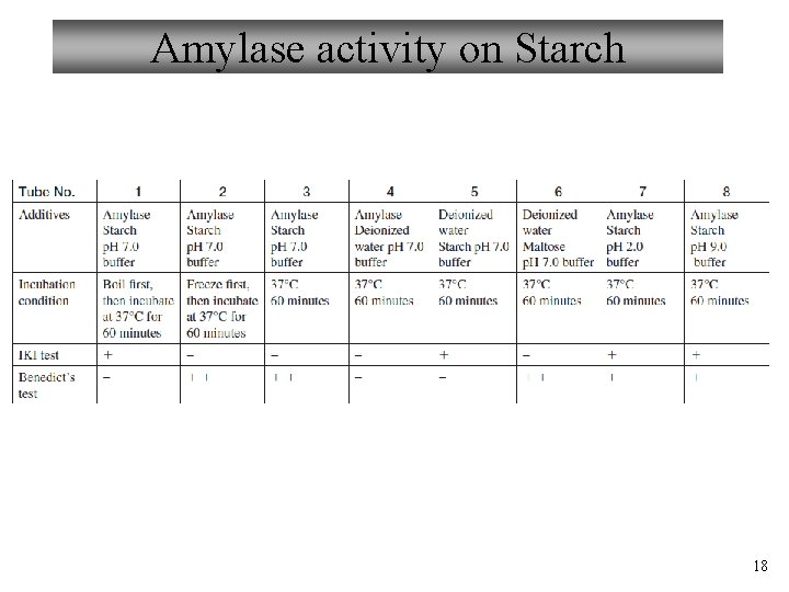 Amylase activity on Starch 18 