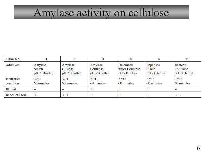 Amylase activity on cellulose 19 