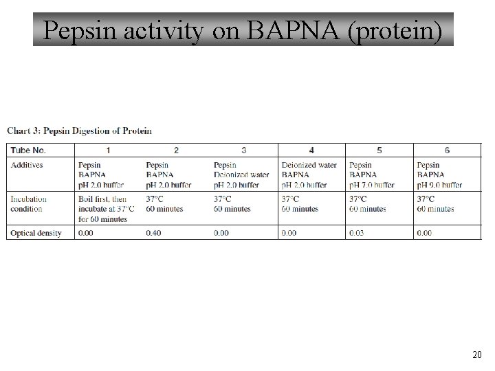 Pepsin activity on BAPNA (protein) 20 