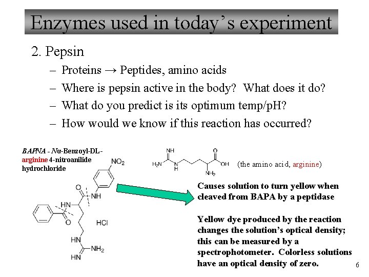 Enzymes used in today’s experiment 2. Pepsin – – Proteins → Peptides, amino acids