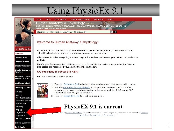 Using Physio. Ex 9. 1 Physio. EX 9. 1 is current 8 