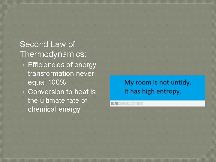 � Second Law of Thermodynamics: • Efficiencies of energy transformation never equal 100% •