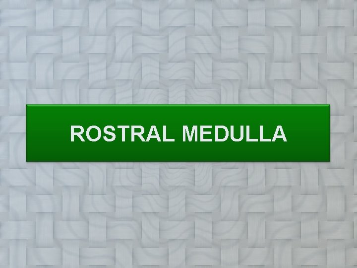 ROSTRAL MEDULLA 