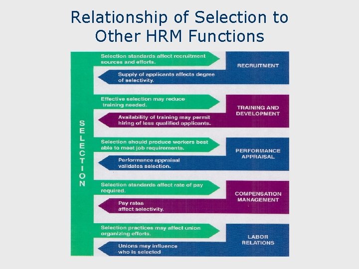 Relationship of Selection to Other HRM Functions 