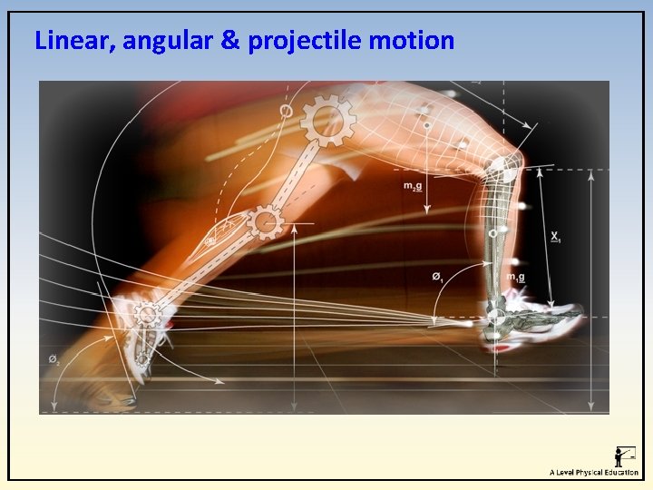 Linear, angular & projectile motion 