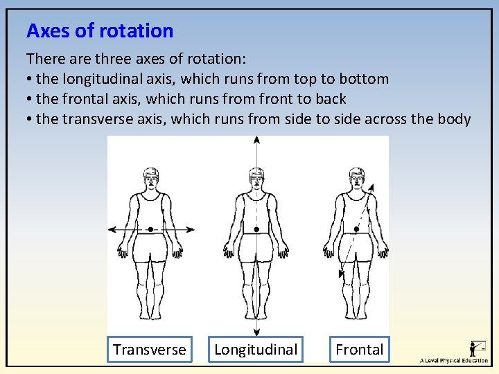 Axes of rotation There are three axes of rotation: • the longitudinal axis, which