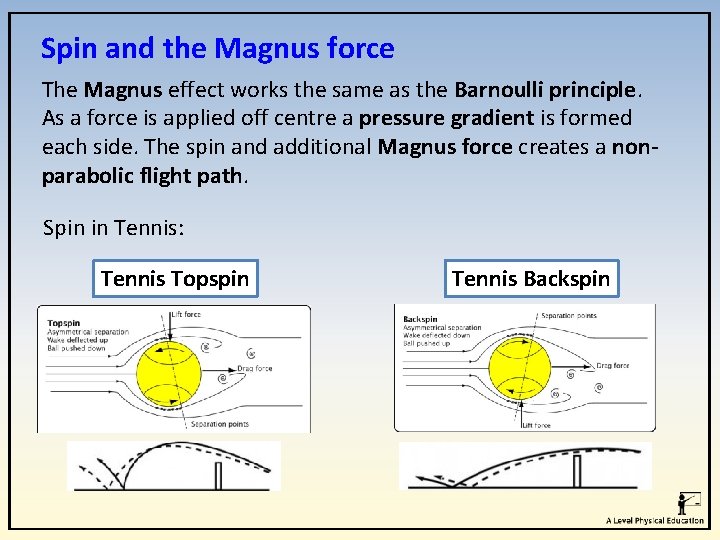 Spin and the Magnus force The Magnus effect works the same as the Barnoulli