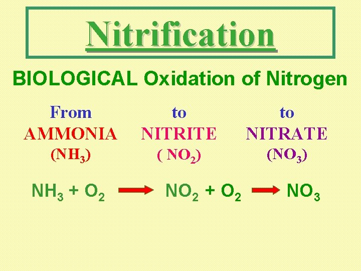 Nitrification BIOLOGICAL Oxidation of Nitrogen From AMMONIA to NITRITE to NITRATE (NH 3) (