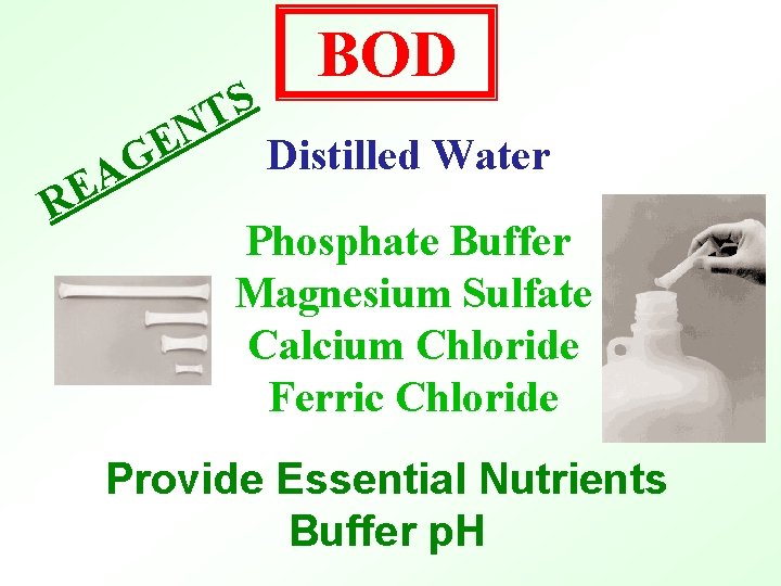 S T N E RE G A BOD Distilled Water Phosphate Buffer Magnesium Sulfate