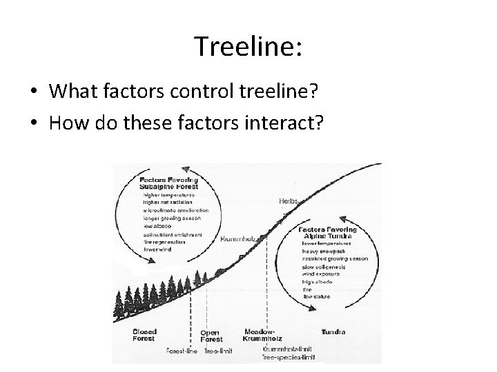 Treeline: • What factors control treeline? • How do these factors interact? 