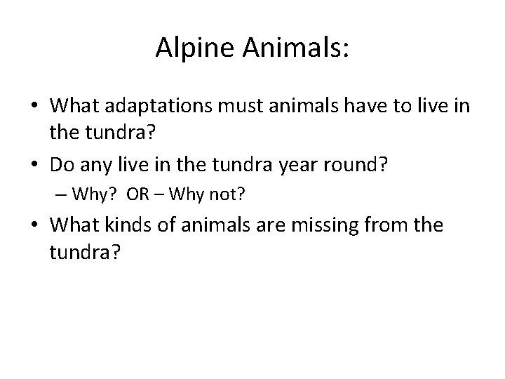 Alpine Animals: • What adaptations must animals have to live in the tundra? •