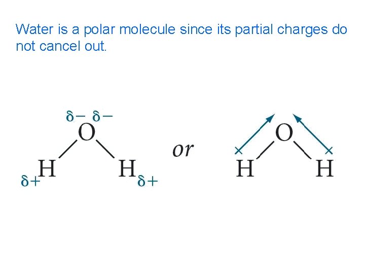 Water is a polar molecule since its partial charges do not cancel out. 