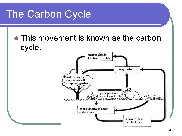 The Carbon Cycle l This movement is known as the carbon cycle. 4 