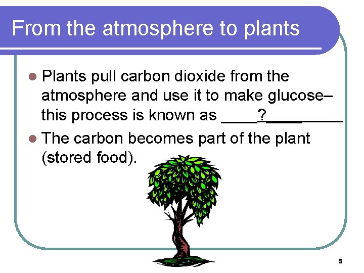 From the atmosphere to plants l Plants pull carbon dioxide from the atmosphere and