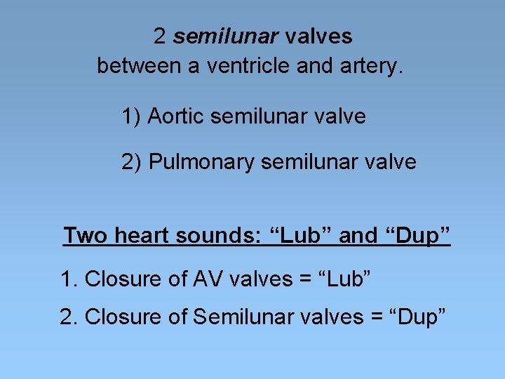 2 semilunar valves between a ventricle and artery. 1) Aortic semilunar valve 2) Pulmonary