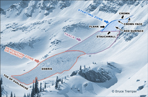 The anatomy of an avalanche