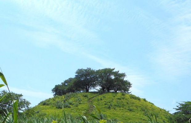 東日本初！行田市の埼玉古墳群が国の特別史跡(＝国宝級)に指定されるぞ！