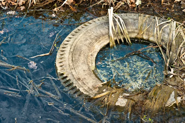 Large truck tire dumped in the water