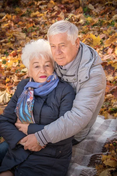 Beautiful happy old people sitting in the autumn park