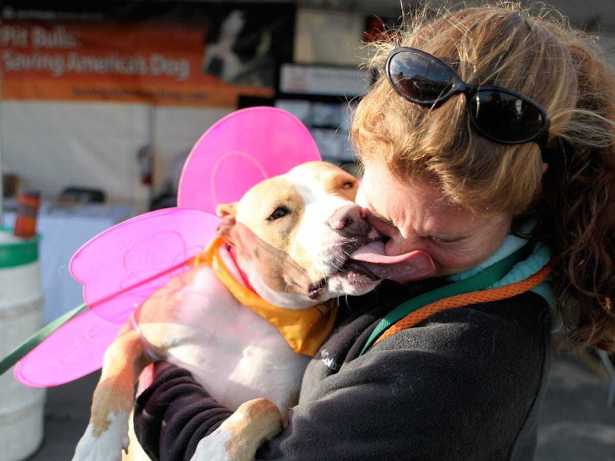 Dog licking face of owner in tutu