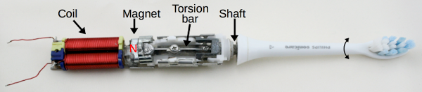 Sonicare toothbrush driver mechanism. As the polarity of the coil switches, the magnet rotates back and forth slightly. The torsion bar transmits the rotation to the shaft, which causes the toothbrush head to vibrate around its axis.